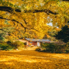 성남 대부업체 개인돈 급하게 당일대출 진행 가능한 방법