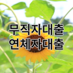 무직자 연체자 대출 가능한 대부대출 개인돈