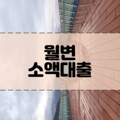 비대면대출 아라보기 - 월변대출편