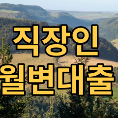 직장인월변대출 비대면으로 알아볼때 참고할 조건