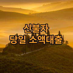 신불자 개인돈대출 신불자 월변 신불자 소액 신불자 당일대출 급전 - 비대면