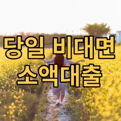 김포 소액대출 김포 비대면소액대출 김포 소액월변대출