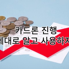 카드론 결제진행 알고 사용하자!!