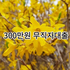 300만원무직자대출 급전 당일 소액 일수 월변