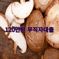 120만원무직자대출 급전 당일 소액 일수 월변