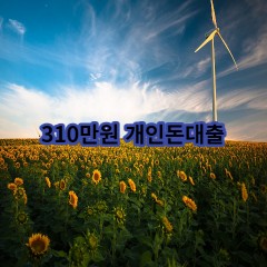 310만원개인돈대출 급전 당일 소액 일수 월변