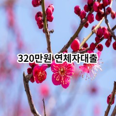 320만원 연체자대출 급전 당일 소액 일수 월변