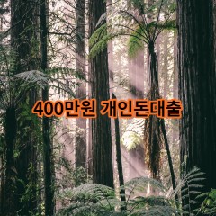 400만원개인돈대출 급전 당일 소액 일수 월변