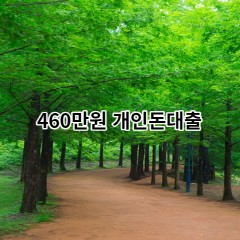 460만원개인돈대출 급전 당일 소액 일수 월변