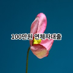 100만원 연체자대출 급전 당일 소액 일수 월변