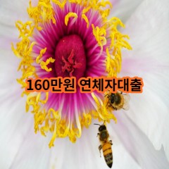 160만원 연체자대출 급전 당일 소액 일수 월변