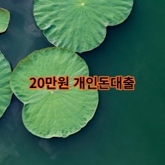 20만원개인돈대출 급전 당일 소액 일수 월변