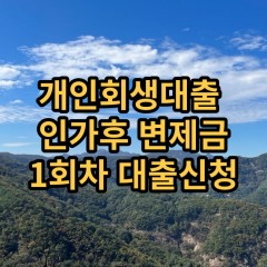 개인회생대출 인가후1회차 개인회생대출 변제금1회차 개인회생대출 미납금1회차 대출가능한곳