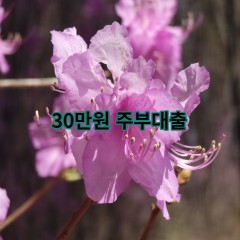 30만원주부대출 급전 당일 소액 일수 월변