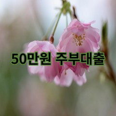 50만원주부대출 급전 당일 소액 일수 월변