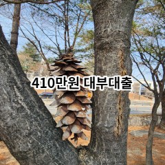 410만원 대부대출 급전 당일 소액 일수 월변