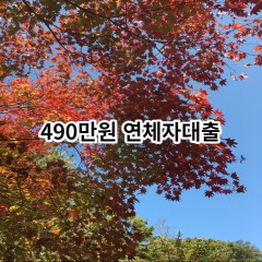 490만원 연체자대출 급전 당일 소액 일수 월변