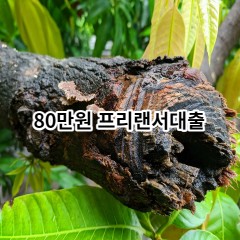 80만원 프리랜서대출 급전 당일 소액 일수 월변