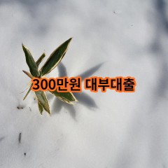 300만원 대부대출 급전 당일 소액 일수 월변