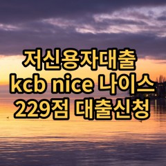 저신용자대출 kcb229점 저신용소액대출 nice229점 저신용비대면대출 나이스229점 신용대출가능한곳