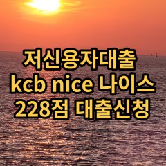 저신용자대출 kcb228점 저신용소액대출 nice228점 저신용비대면대출 나이스228점 신용대출가능한곳