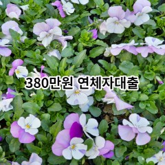 380만원 연체자대출 급전 당일 소액 일수 월변