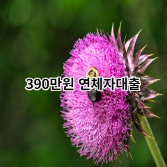 390만원 연체자대출 급전 당일 소액 일수 월변