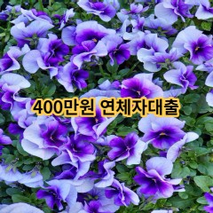 400만원 연체자대출 급전 당일 소액 일수 월변