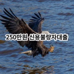 250만원 신용불량자대출 급전 당일 소액 일수 월변