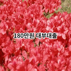 180만원 대부대출 급전 당일 소액 일수 월변