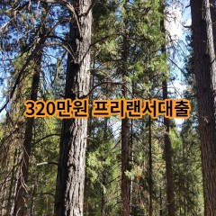 320만원 프리랜서대출 급전 당일 소액 일수 월변