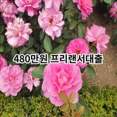 480만원 프리랜서대출 급전 당일 소액 일수 월변