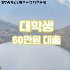 대학생 월변60만원대출 소액60만원대출 개인돈60만원 비대면60만원