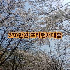 270만원 프리랜서대출 급전 당일 소액 일수 월변