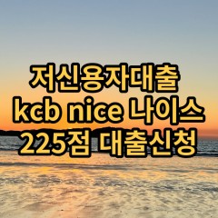 저신용자대출 kcb225점 저신용소액대출 nice225점 저신용비대면대출 나이스225점 신용대출가능한곳