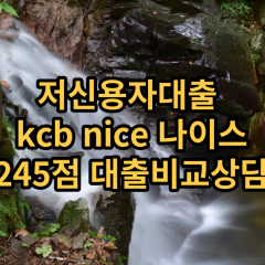 저신용자대출 kcb245점 저신용소액대출 nice245점 저신용비대면대출 나이스245점 신용대출가능한곳