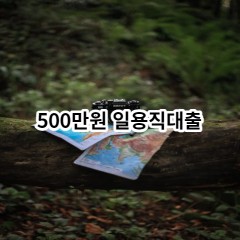 500만원 일용직대출 급전 당일 소액 일수 월변