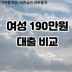 여성 월변190만원대출 소액190만원대출 개인돈190만원 비대면190만원