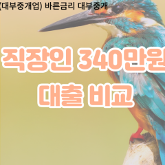 직장인 월변340만원대출 소액340만원대출 개인돈340만원 비대면340만원