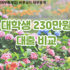 대학생 월변230만원대출 소액230만원대출 개인돈230만원 비대면230만원