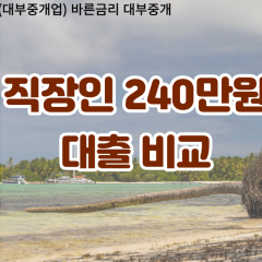 직장인 월변240만원대출 소액240만원대출 개인돈240만원 비대면240만원