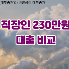 직장인 월변230만원대출 소액230만원대출 개인돈230만원 비대면230만원