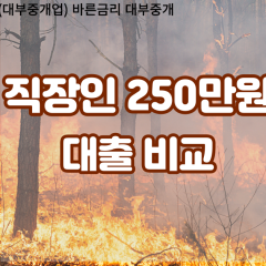 직장인 월변250만원대출 소액250만원대출 개인돈250만원 비대면250만원