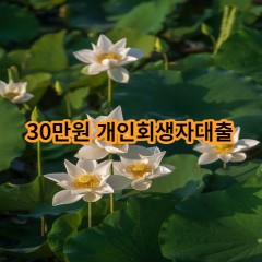 30만원 개인회생자대출 급전 당일 소액 일수 월변