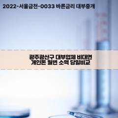 광주광산구대부업체 광주광산구비대면대부업체 대부업체개인돈 광주광산구월변대부업체 광주광산구소액대부업체