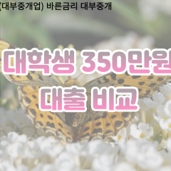 대학생 월변350만원대출 소액350만원대출 개인돈350만원 비대면350만원