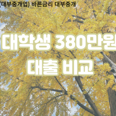 대학생 월변380만원대출 소액380만원대출 개인돈380만원 비대면380만원