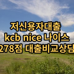 저신용자대출 kcb278점 저신용소액대출 nice278점 저신용비대면대출 나이스278점 신용대출비교상담