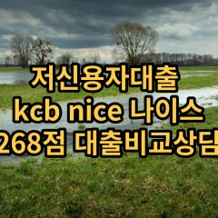 저신용자대출 kcb268점 저신용소액대출 nice268점 저신용비대면대출 나이스268점 신용대출비교상담