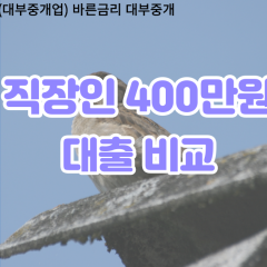 직장인 월변400만원대출 소액400만원대출 개인돈400만원 비대면400만원